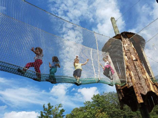enfants sur un parcours accrobranche