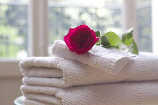 Serviettes de bain, rose rouge et fenêtre