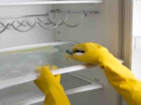 Optez pour un réfrigérateur propre : guide en 8 étapes