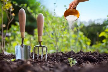 Le sulfate de magnésium : comment l'utiliser dans votre jardin