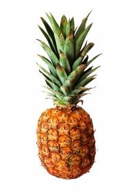 Faire pousser un ananas