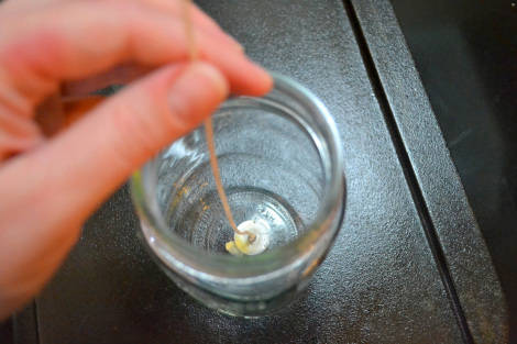 Bougie de cire d'abeille au citron et à la vanille
