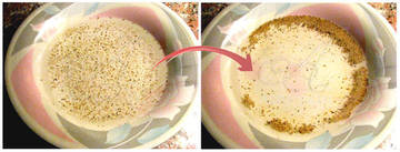 Pourquoi le savon lave ?