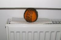 Pomme d'ambre