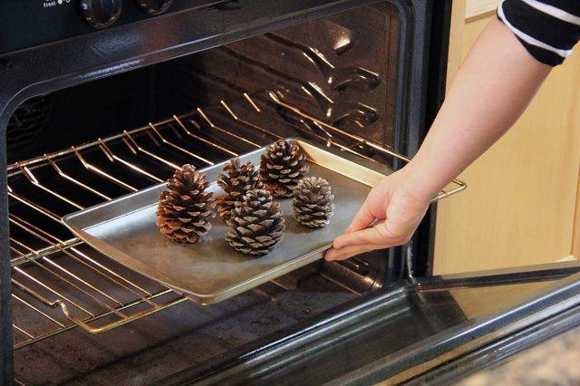 Pommes de pin parfumées à la cannelle