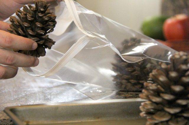 Pommes de pin parfumées à la cannelle