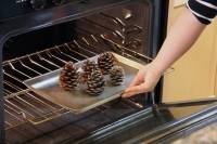 Pommes de pin parfumées à la cannelle