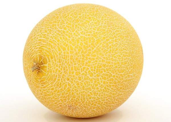 melon