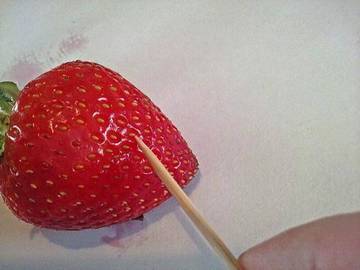 Comment faire pousser des fraises à partir de leurs graines
