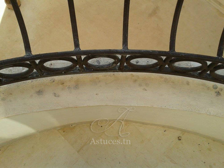 Nettoyer la fiente d'oiseaux
