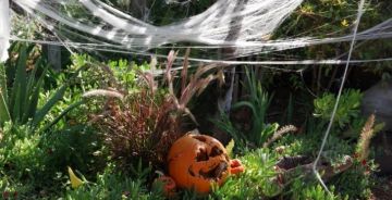 5 idées déco pour inviter Halloween dans votre jardin