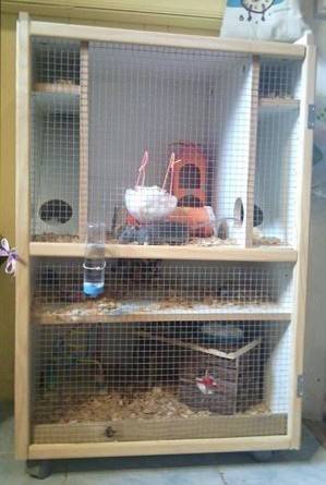 Une cage pour votre petit animal à moindre coût!