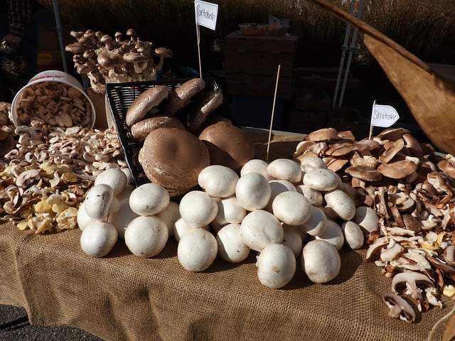 étalage de champignons comestibles au marché