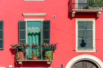 Les 5 meilleures plantes pour décorer votre balcon