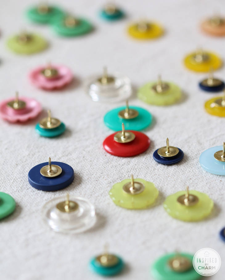 Punaises boutons