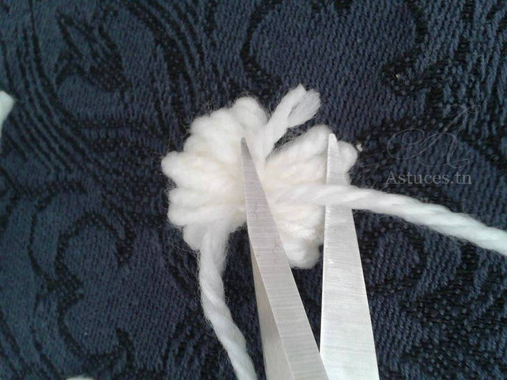 Mini Pompons