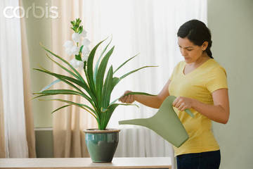 Bien arroser ses plantes