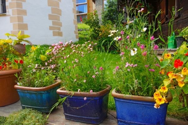 Jardinières