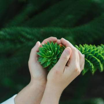 Les erreurs courantes à éviter lors du jardinage pour ce printemps