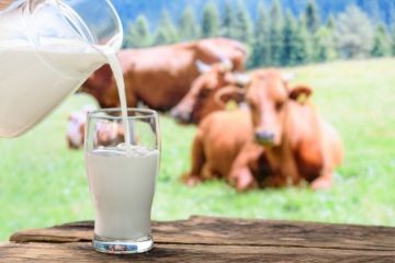Les maladies liées à la consommation du lait