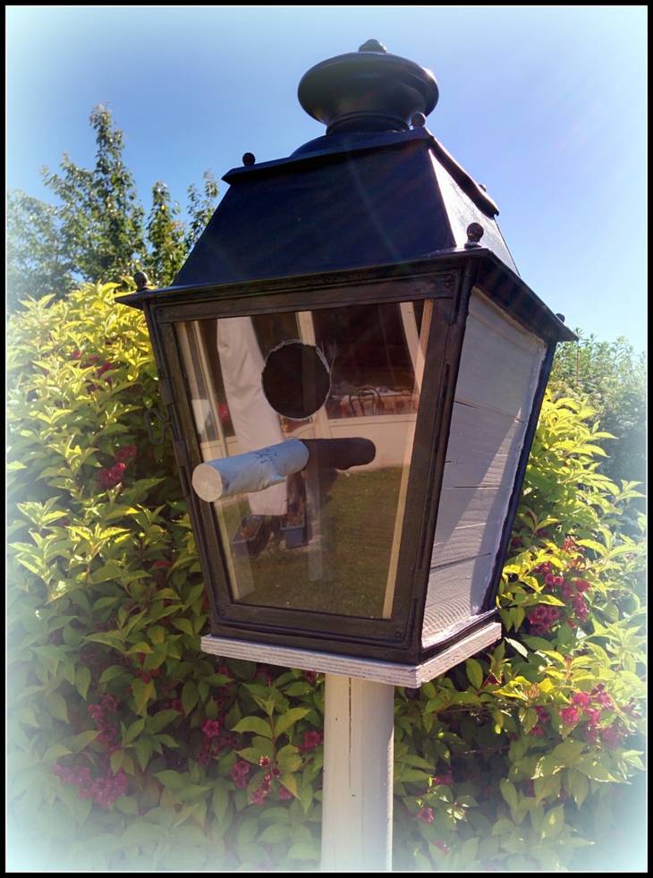 Nichoir à oiseaux avec une vieille lanterne