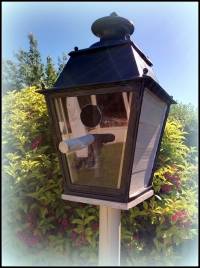 Nichoir à oiseaux avec une vieille lanterne