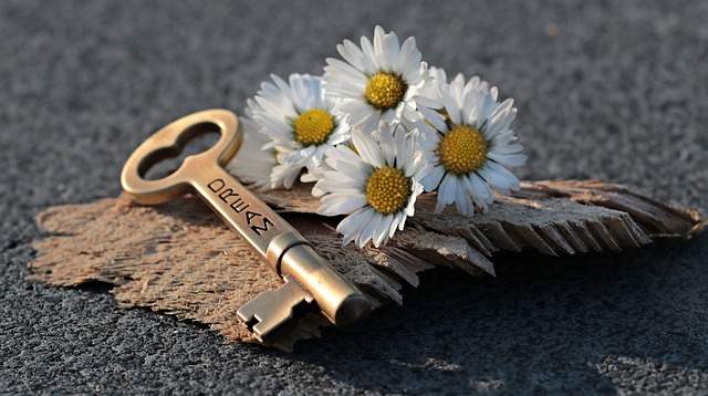 clé et fleurs blanches