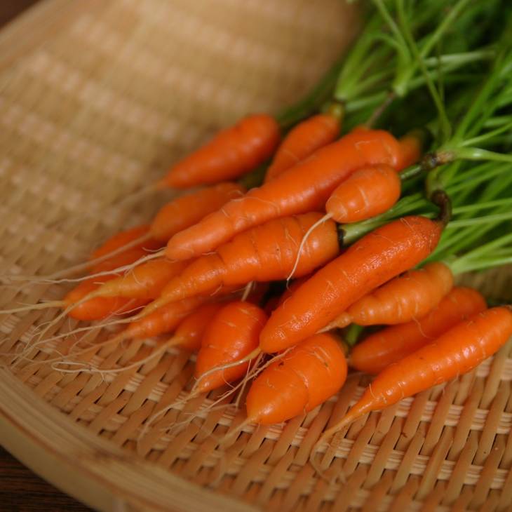 Les atouts de la carotte