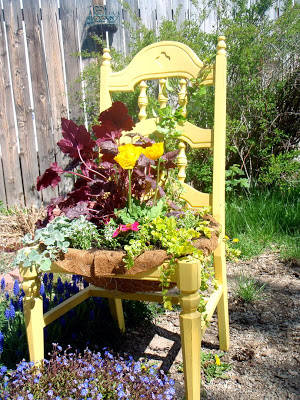 vieille chaise transformée en jardinière