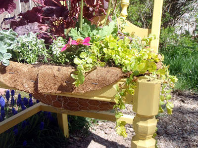 assise de chaise transformée en jardinière