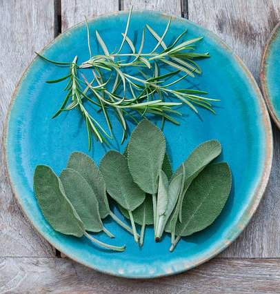 romarin et sauge dans une assiette bleue
