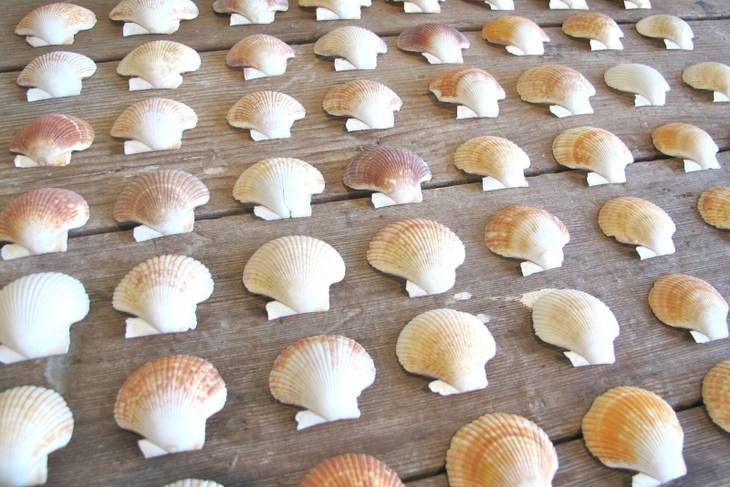 Pots de fleurs en coquillages
