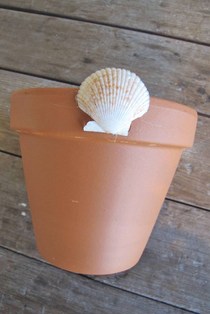 Pots de fleurs en coquillages