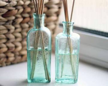 Des plantes qui poussent à l'intérieur et sans lumière