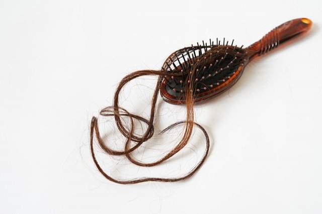 Les cheveux : un engrais naturel pour vos plantes