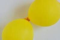 Ballons transformés en fleurs décoratives