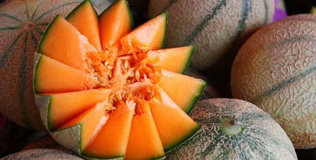 Comment choisir un melon