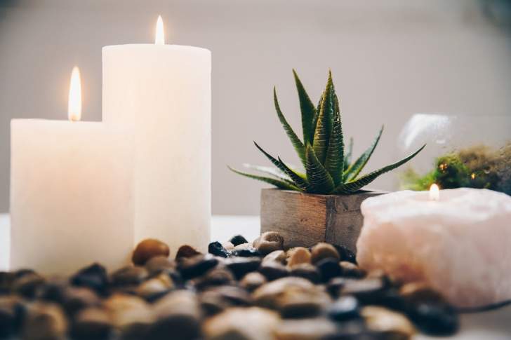 bougies zen cactus plante succulente galets
