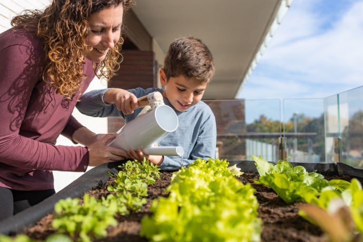 arroser un potager urbain