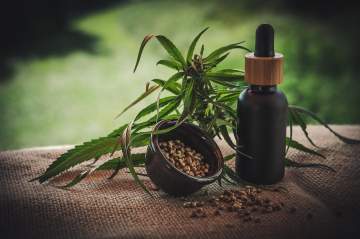 Graines de cannabis : les avantages pour la santé