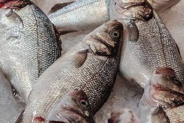 Enlever l'odeur de poisson sur les mains