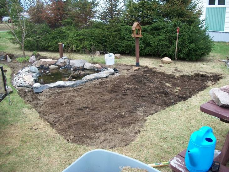 Agrandissement d'un jardin d'eau