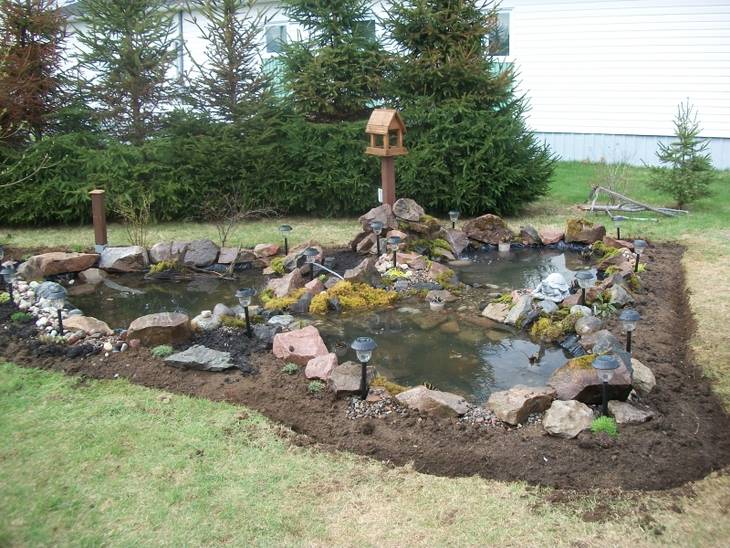 Agrandissement d'un jardin d'eau