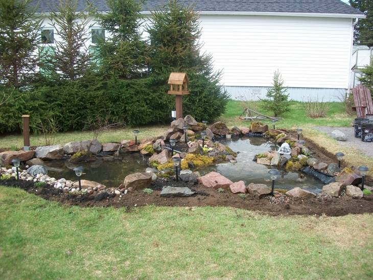 Agrandissement d'un jardin d'eau