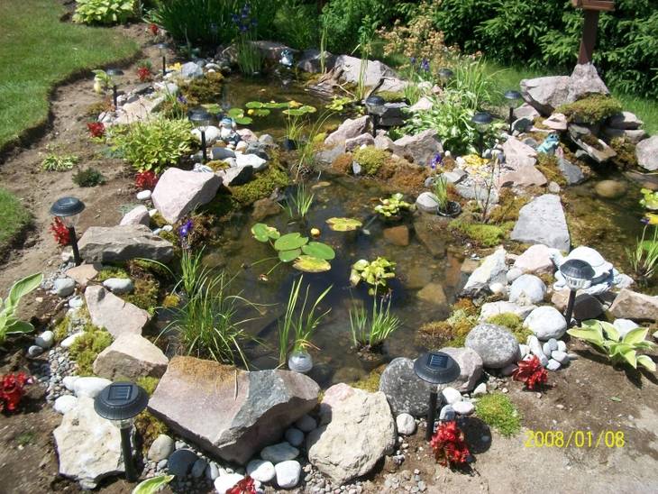 Agrandissement d'un jardin d'eau
