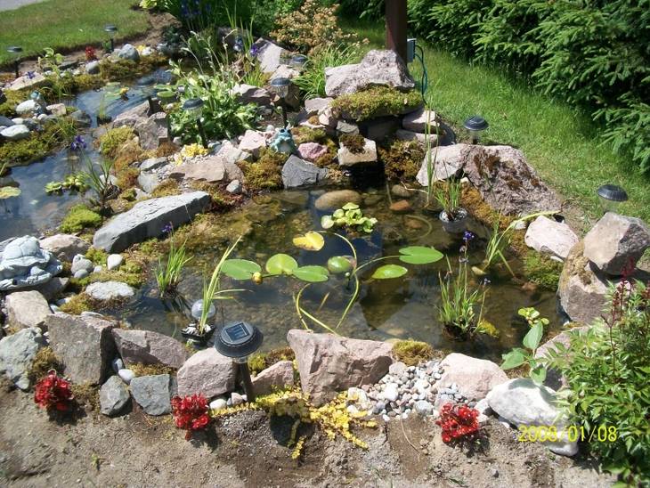 Agrandissement d'un jardin d'eau