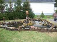 Agrandissement d'un jardin d'eau