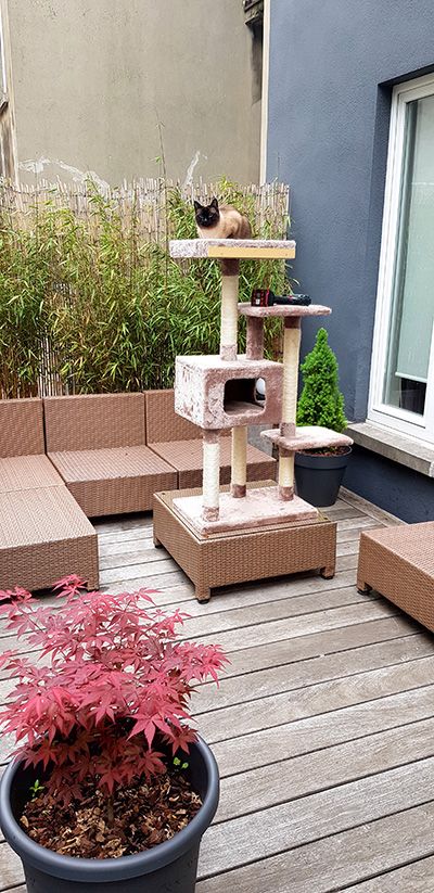 Diy Arbre A Chat Personnalise En Bois A Faire Soi Meme Diy Arbre A Chat Personnalise En Bois A Faire Soi Meme