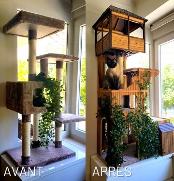 DIY : arbre à chat personnalisé en bois à faire soi-même