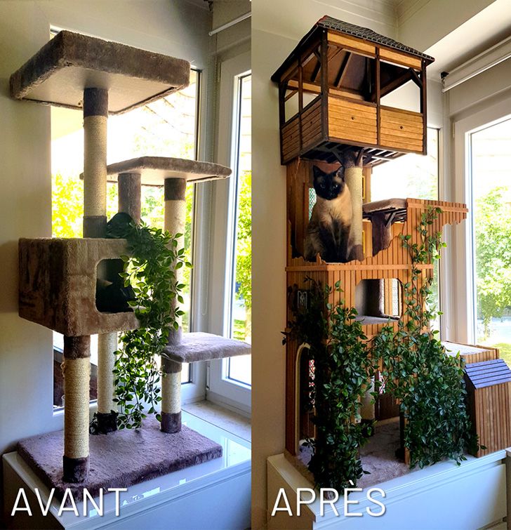 Diy Arbre A Chat Personnalise En Bois A Faire Soi Meme